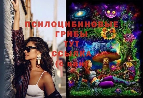 первитин Бикин