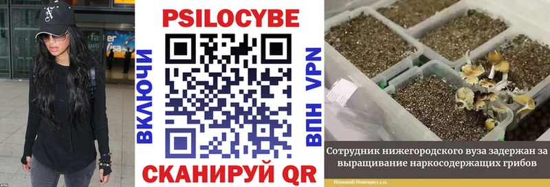 hydra зеркало  цены   Бокситогорск  Галлюциногенные грибы мицелий 